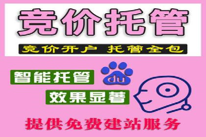 案例分享：SEM代运营服务公司的运营模式